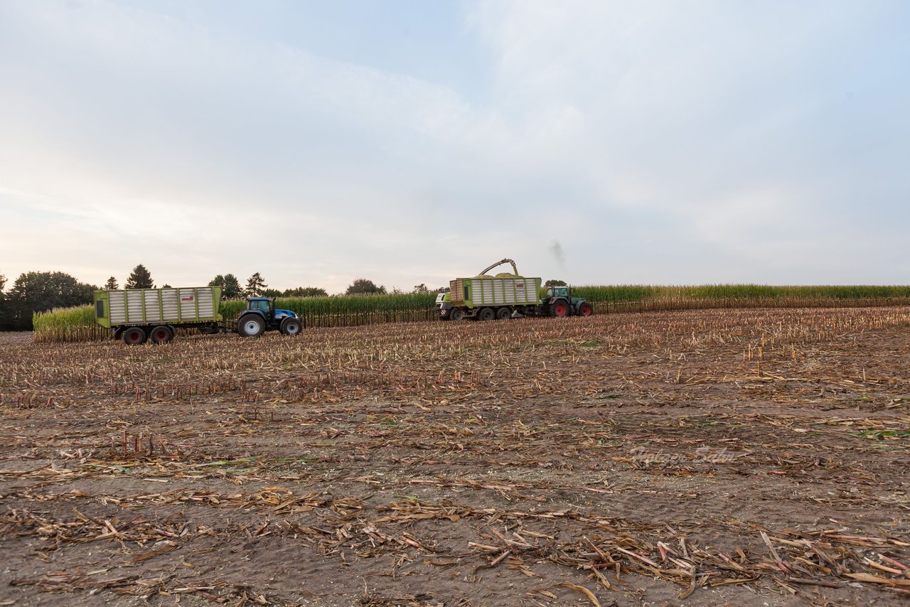 Bild 173 - Maisernte 2016